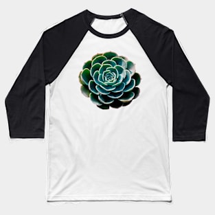 Echeveria Glauca Baseball T-Shirt